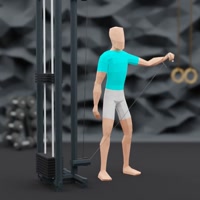 Image of Lateral Raises on Cable Station