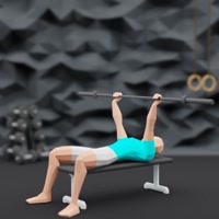 Image of Bench Press
