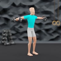 Image of Lateral Raises