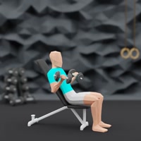 Image of Biceps Curls incline