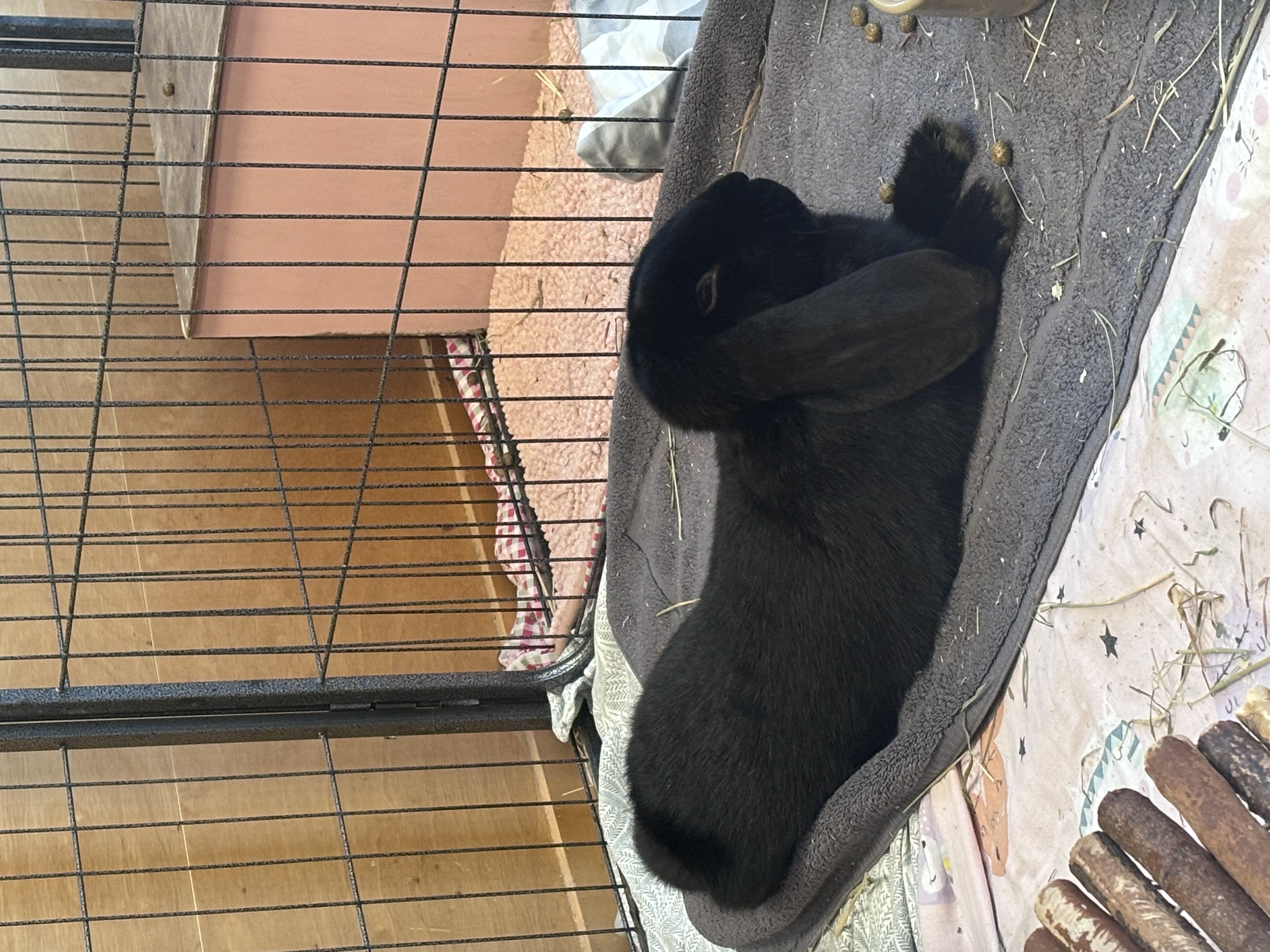 Arttu