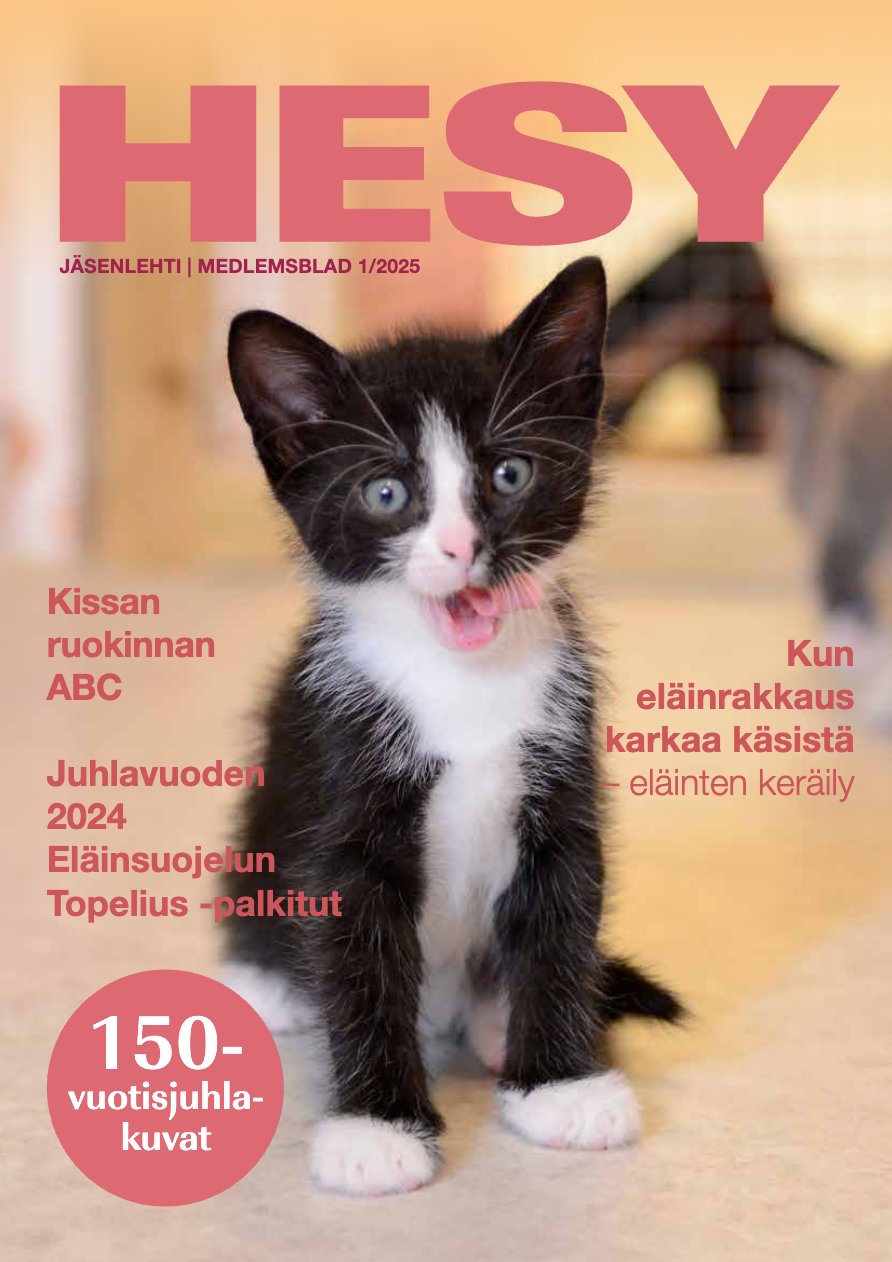 HESY-lehti 1/2025