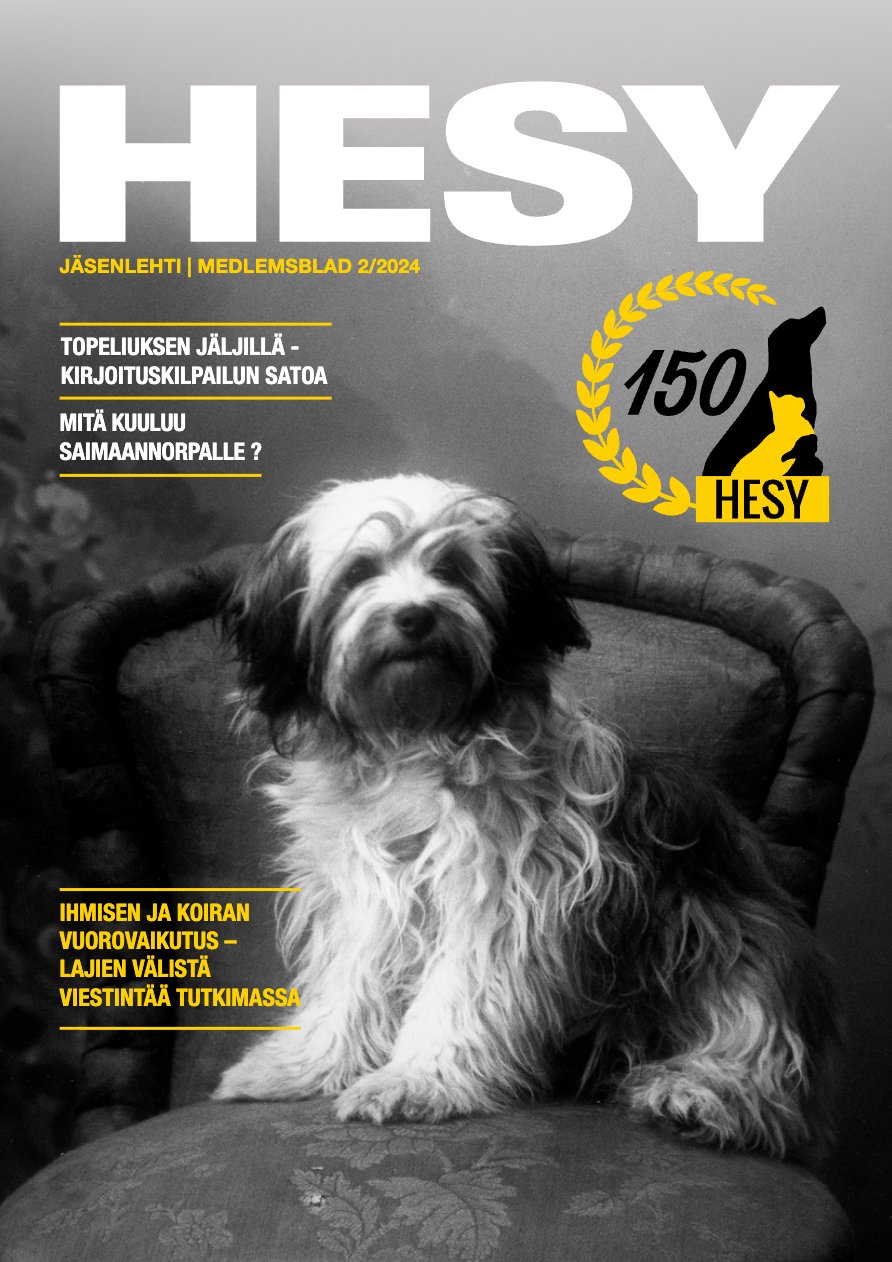 HESY-lehti 2/2024