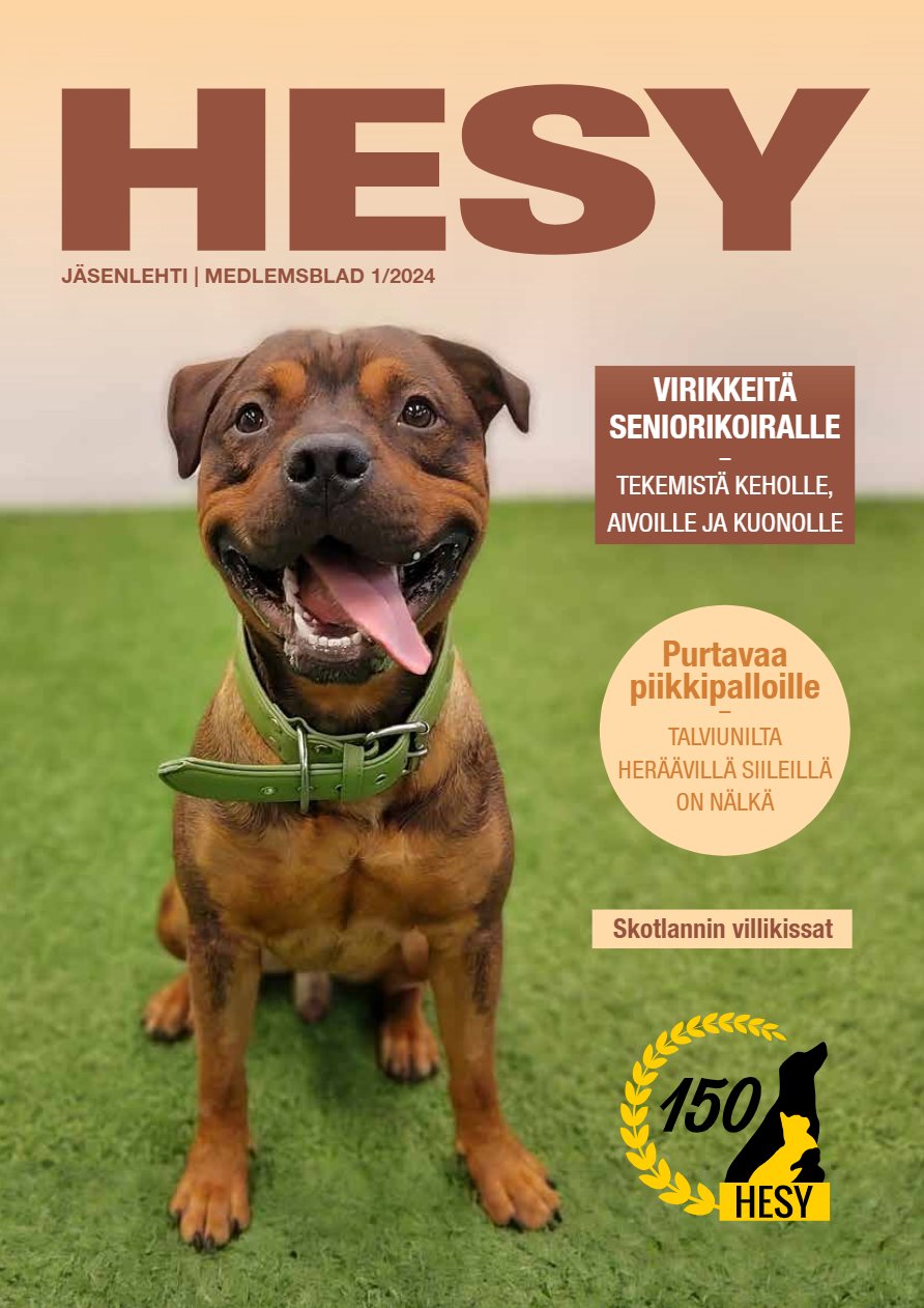HESY-lehti 1/2024