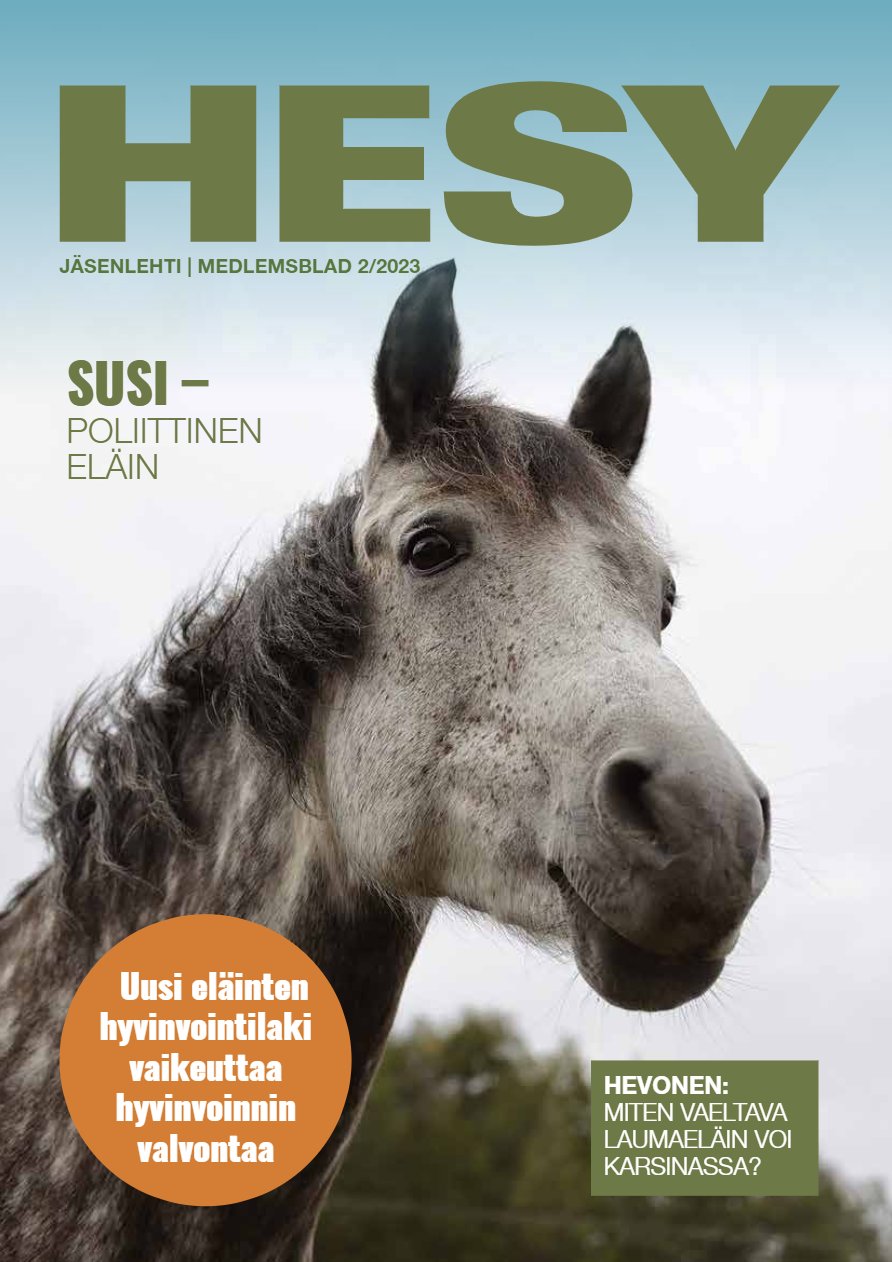 HESY-lehti 2/2023