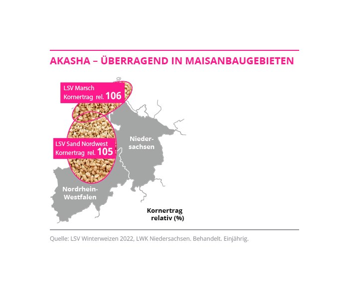 AKASHA - Überragend in Maisanbaugebieten