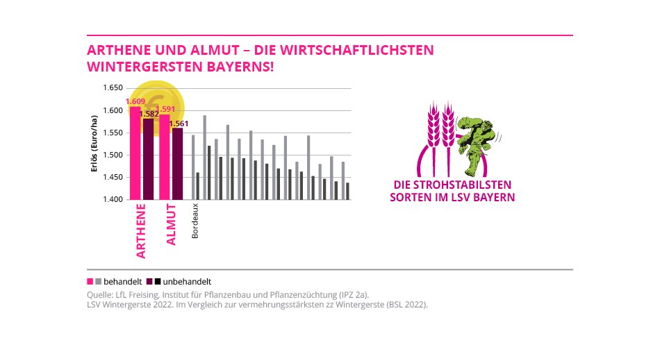 ARTHENE und ALMUT - Die wirtschaftlichsten Wintergersten Bayerns!