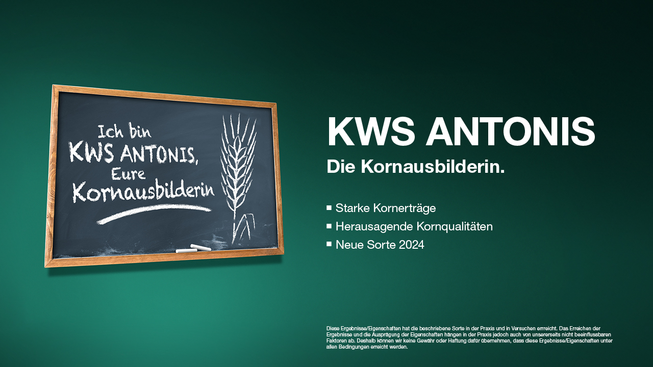 Mehrzeilige Wintergerste