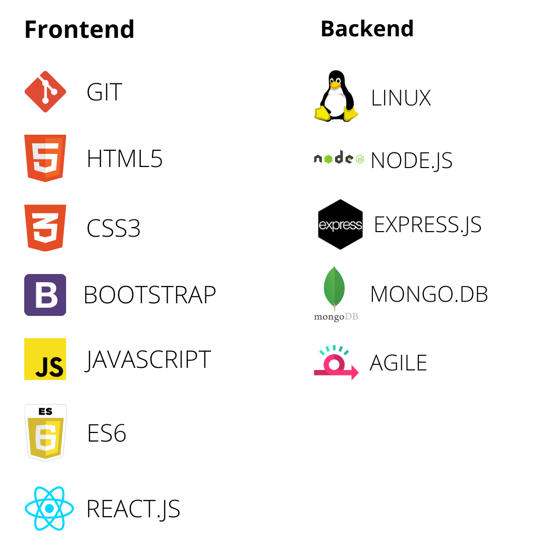 MERN Stack Developer