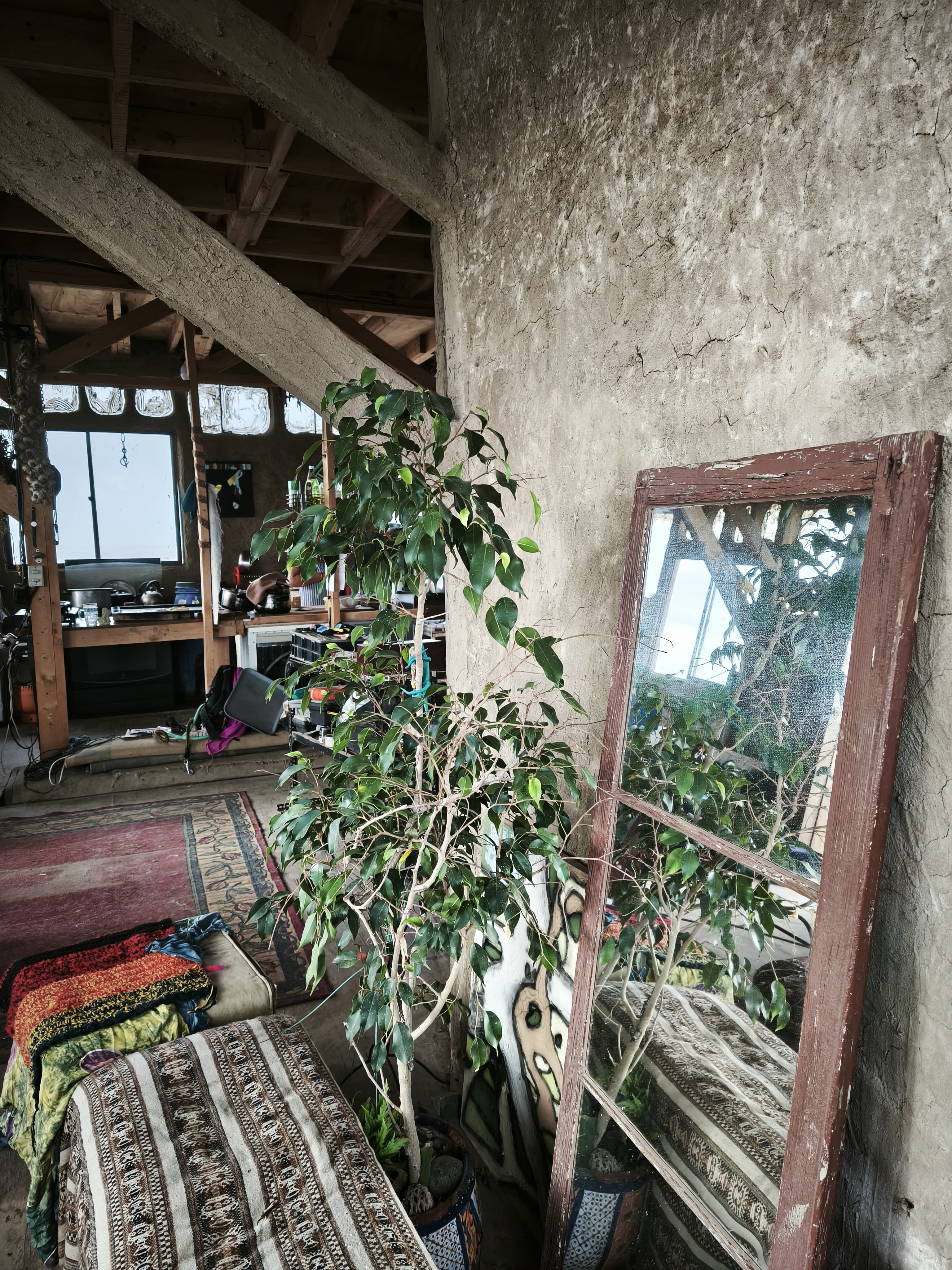 Imagen del servicio Habitación Cactácea Lodge malezasdeldesierto para 2