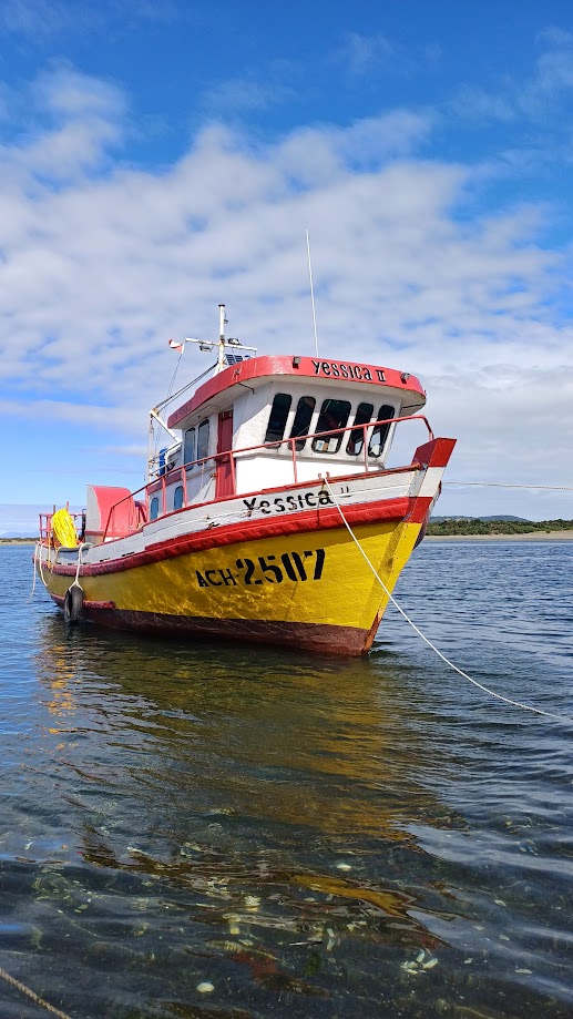 Imagen del servicio Paquete completo por chiloe
