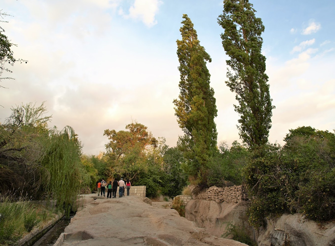 Imagen del servicio Sabores de Atacama: Bosque y viñedo de altura