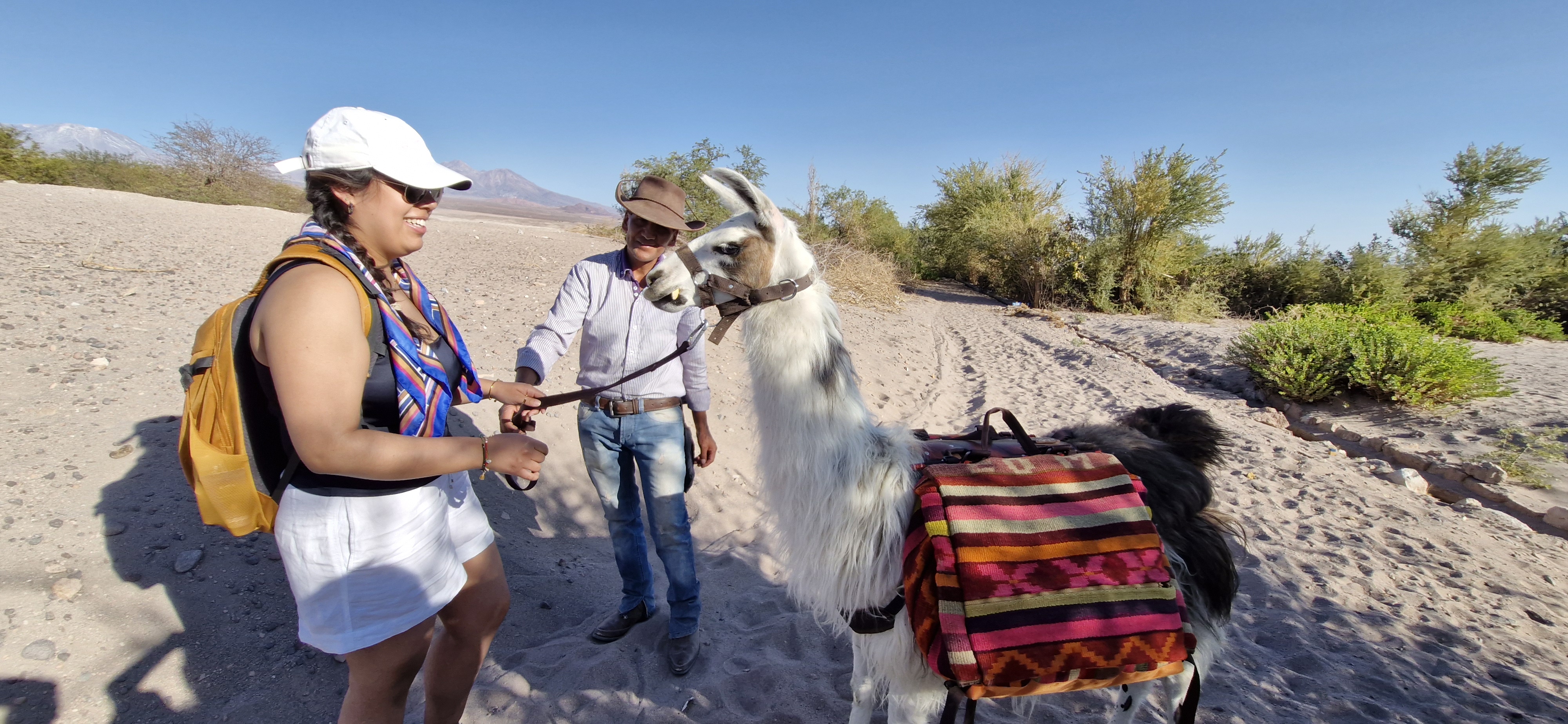 Imagen del servicio TRAVESIA CON LLAMAS Y VINO