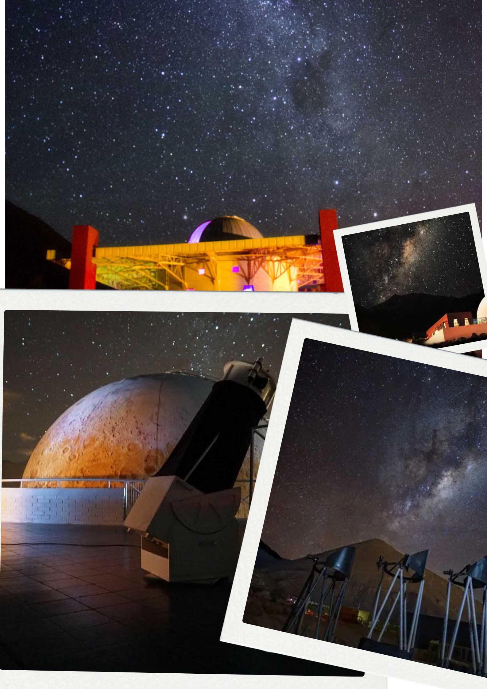 Coquimbo Esencial: Valle de Elqui, Estrellas y Ballenas 3