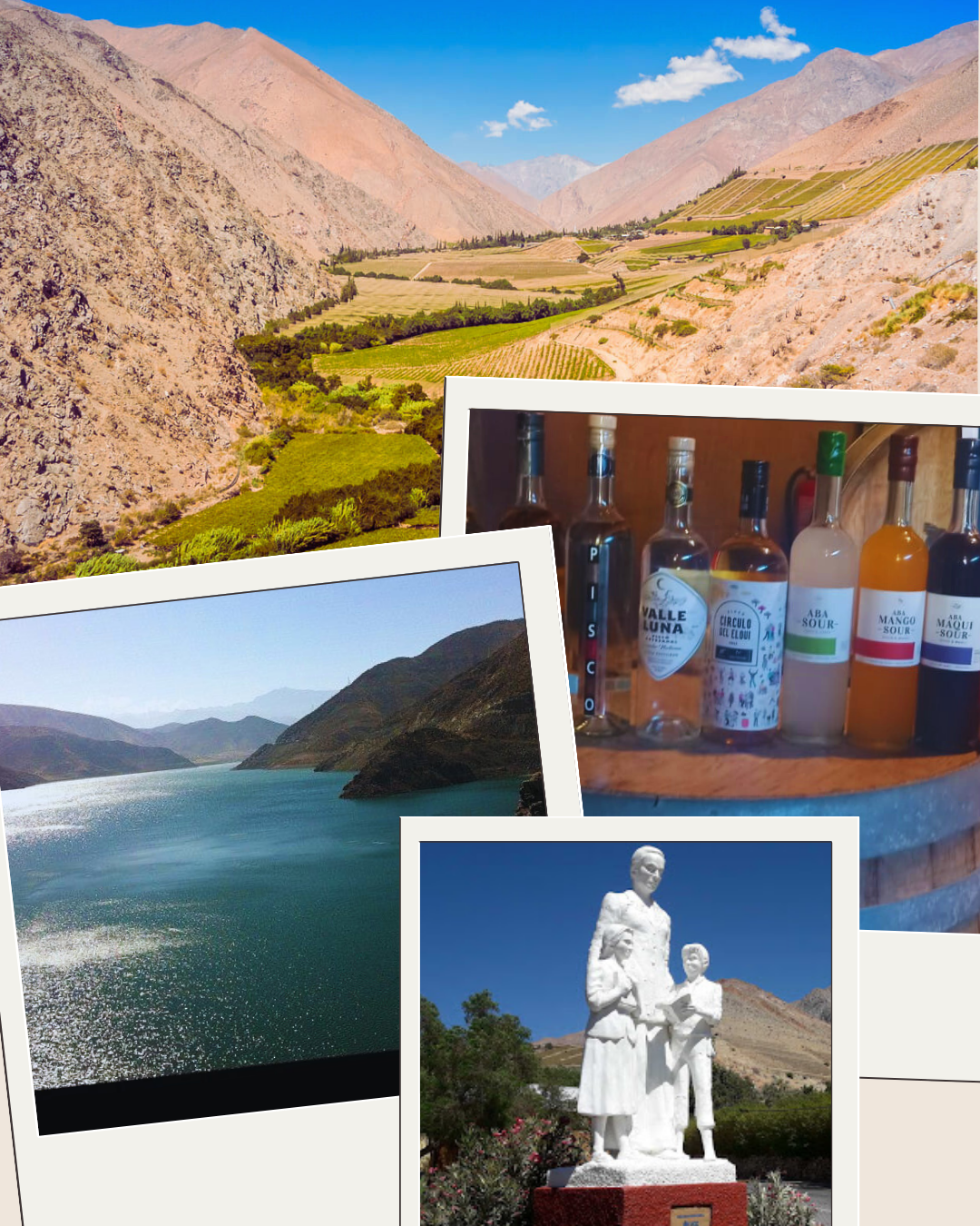 Coquimbo Esencial: Valle de Elqui, Estrellas y Ballenas 2