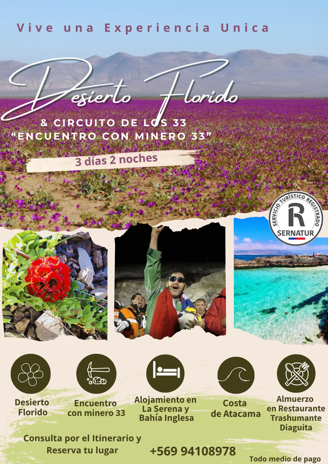 Imagen del servicio Desierto Florido + Encuentro con el Minero 33