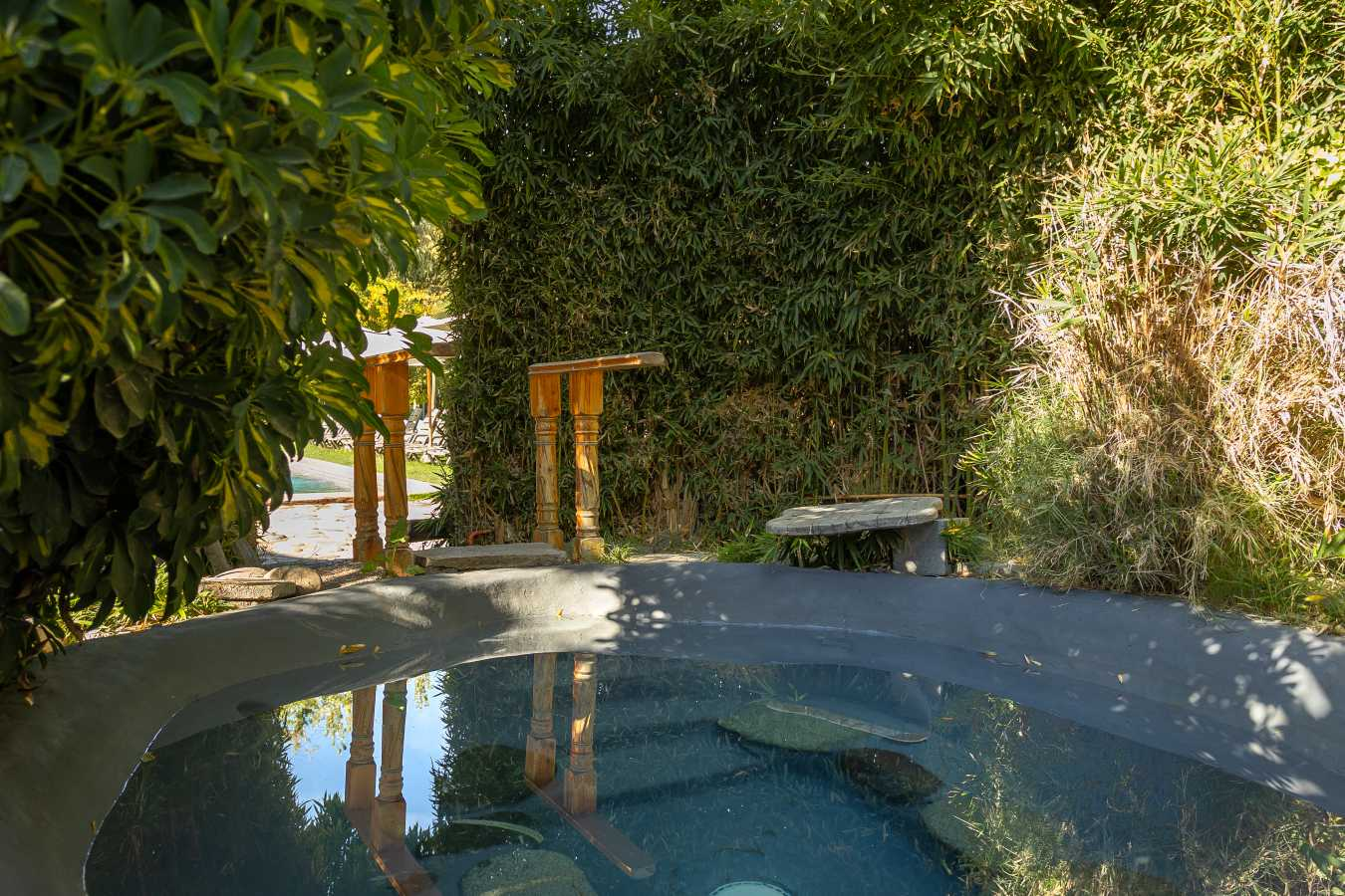 Imagen del servicio Relax en la Luna