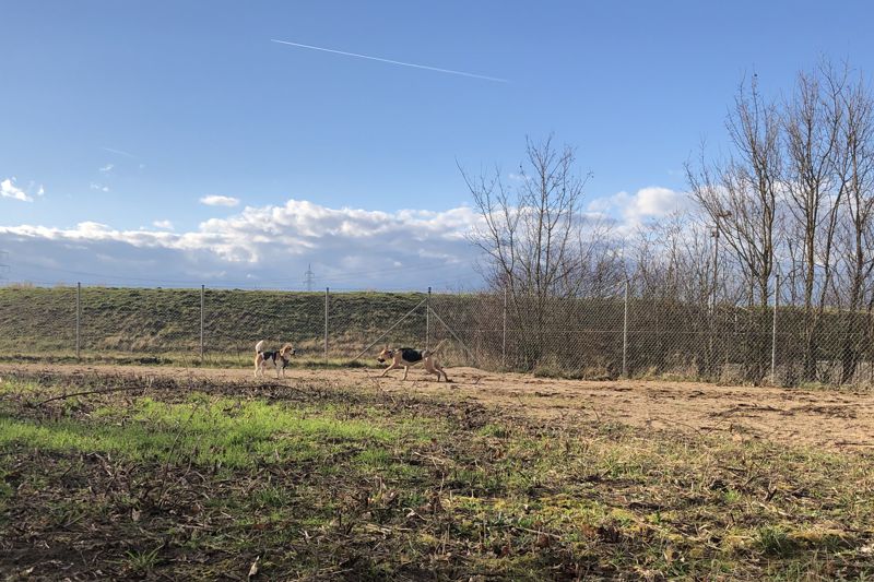 Griesheimer Hundewiese