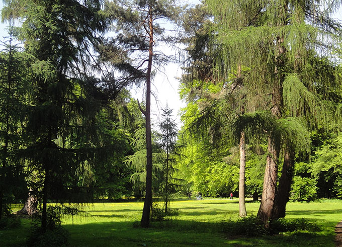 Stadtwald – Foto 1