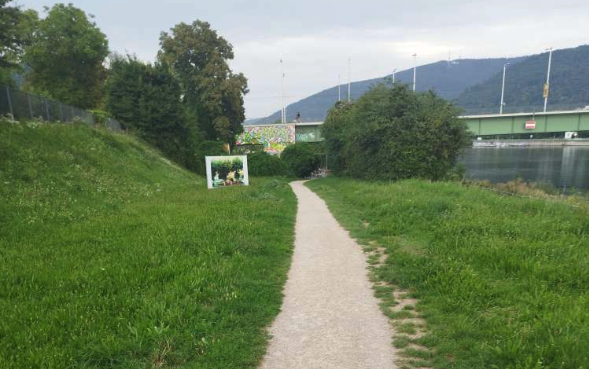 Hundewiese Kirchheim