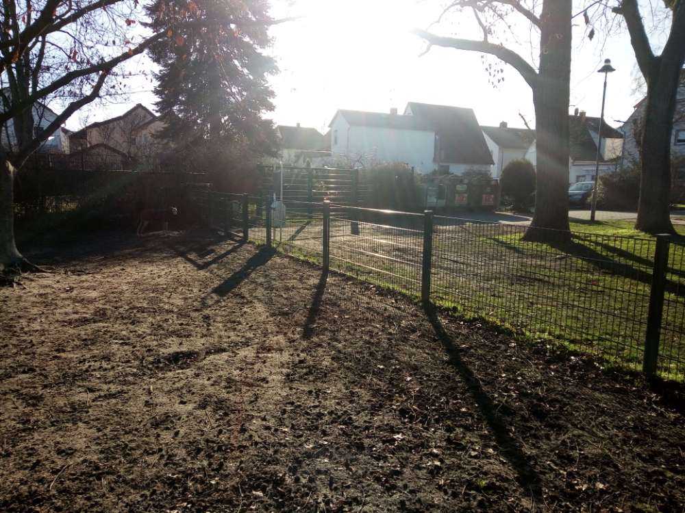 Hundewiese im Stadtpark