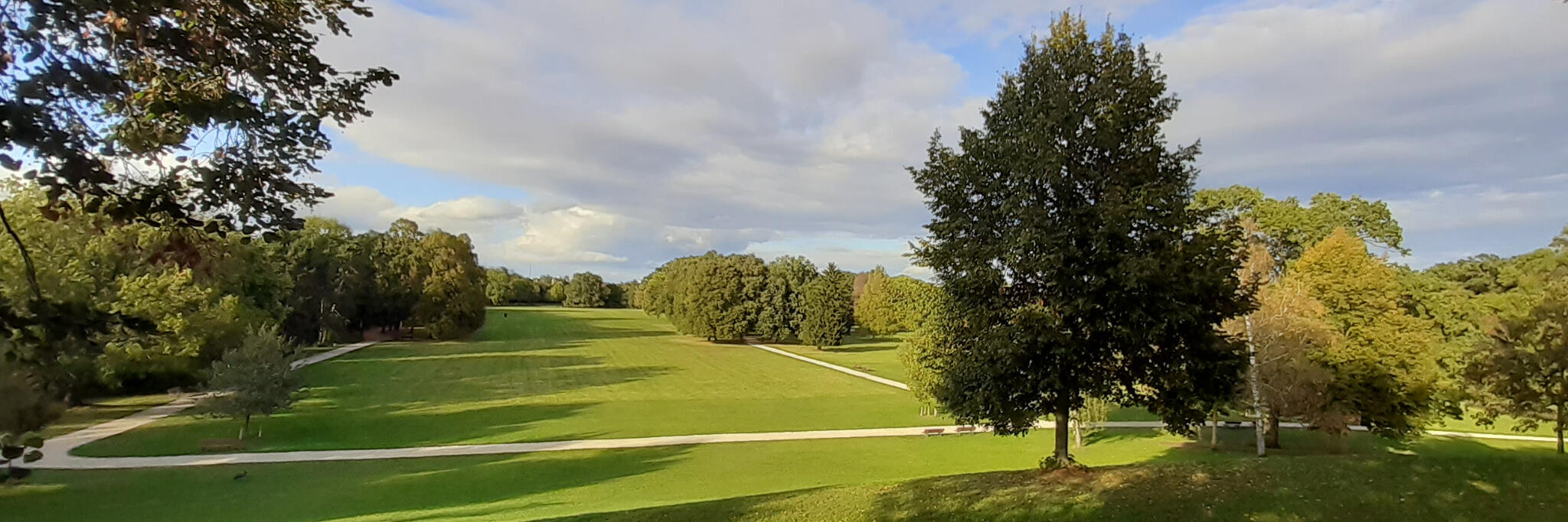 Stadtpark Wäldchen – Foto 2