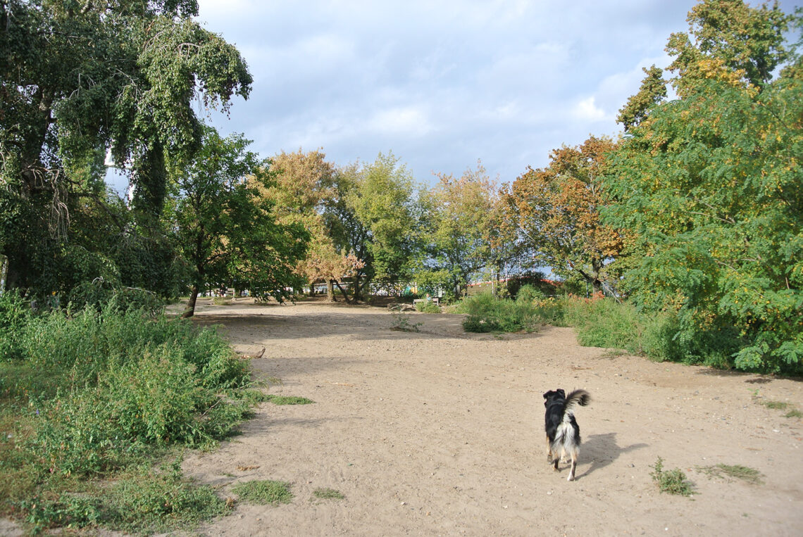 Dog Area Mauerpark – Foto 2