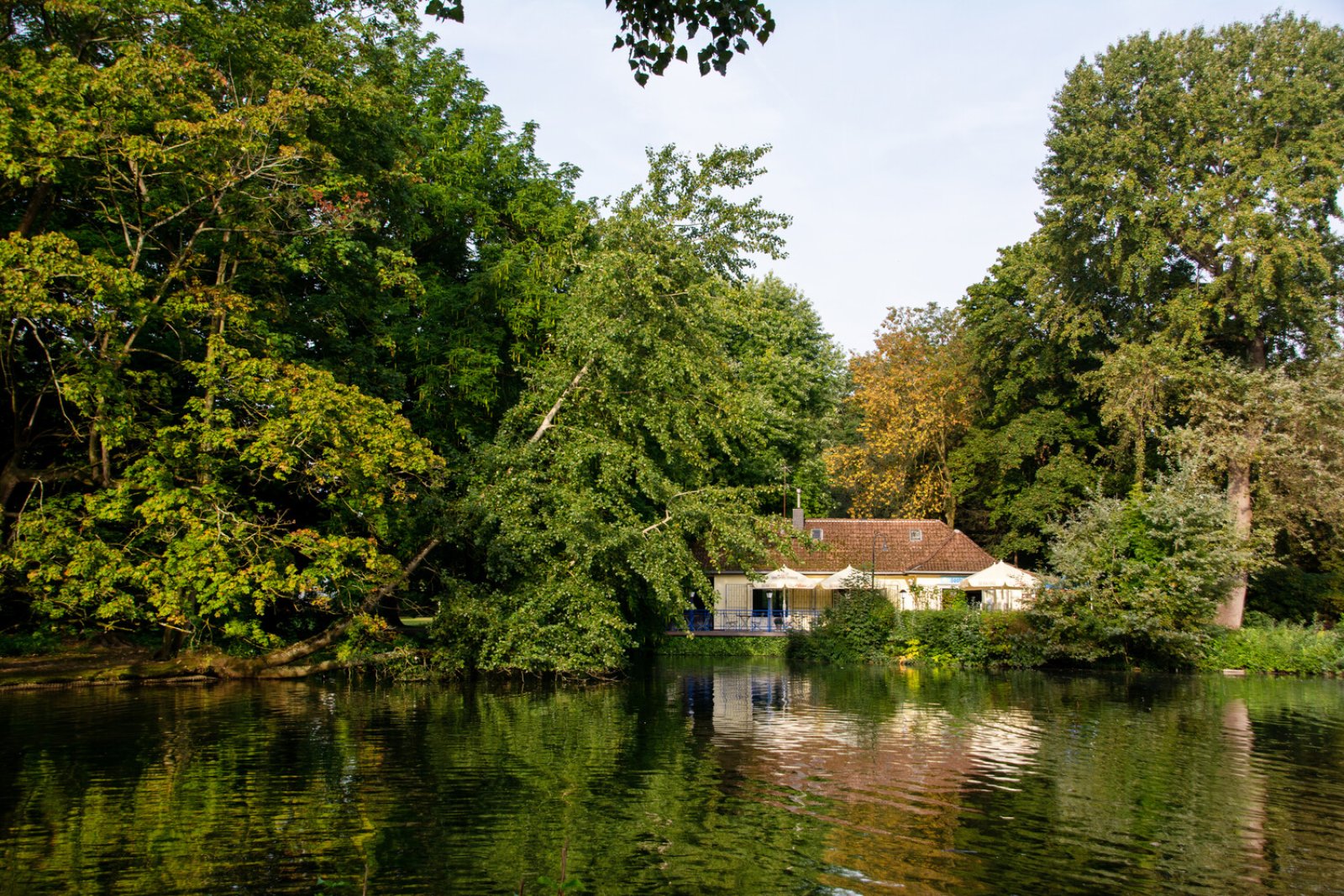 Volksgarten – Foto 2