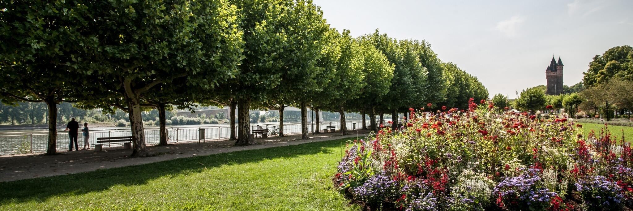 Rheinpromenade