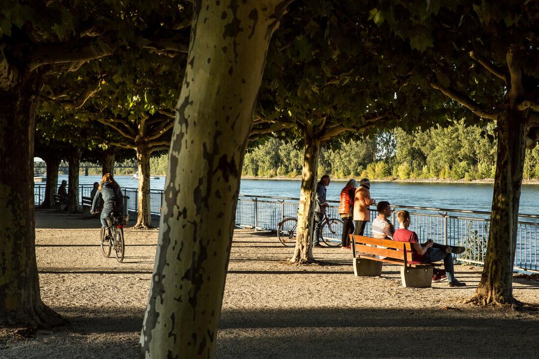 Rheinpromenade – Foto 2