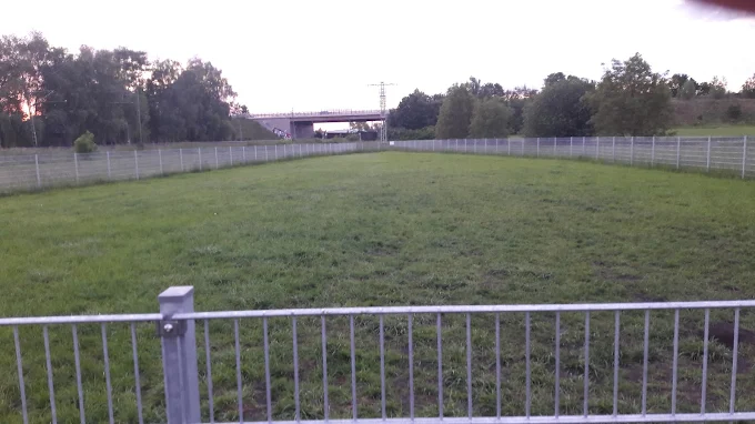 Hundewiese Bürstadt