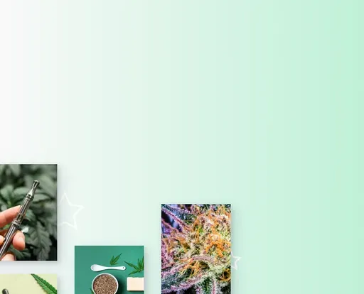Banner der Startseite