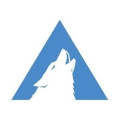 Arctic Wolf Networks logo