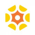 Bamboo Health logo