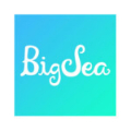  Big Sea logo