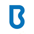 Brainrider logo