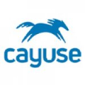 Cayuse logo