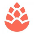 Company Icon