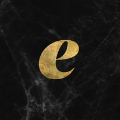 Company Icon