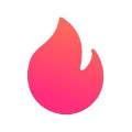Flames design logo