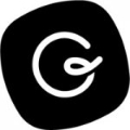 Guru Technologies logo