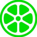 Lime logo