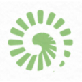 Lonni Consulting logo