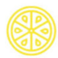 Pearl Lemon Group logo