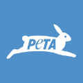 Company Icon