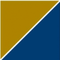 Company Icon