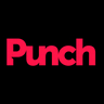 Punch Digital Strategies logo