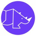 Rhino New York LLC logo