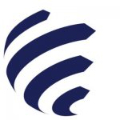 Stefanini logo
