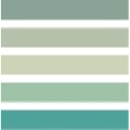 Company Icon